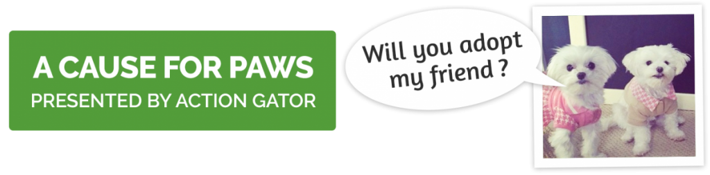 We’re Partnering with A Cause for Paws! Cause for Paws w/ Action Gator Tire